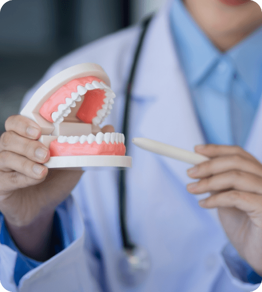 Denture Repair Services in Orleans.